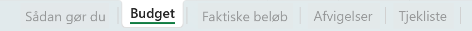 Budgetskema - indhold i miniudgaven vs den fulde udgave